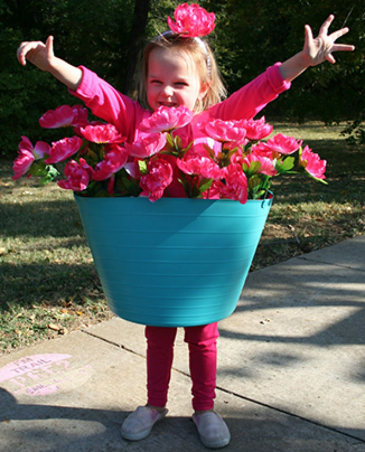 Become a flower pot.