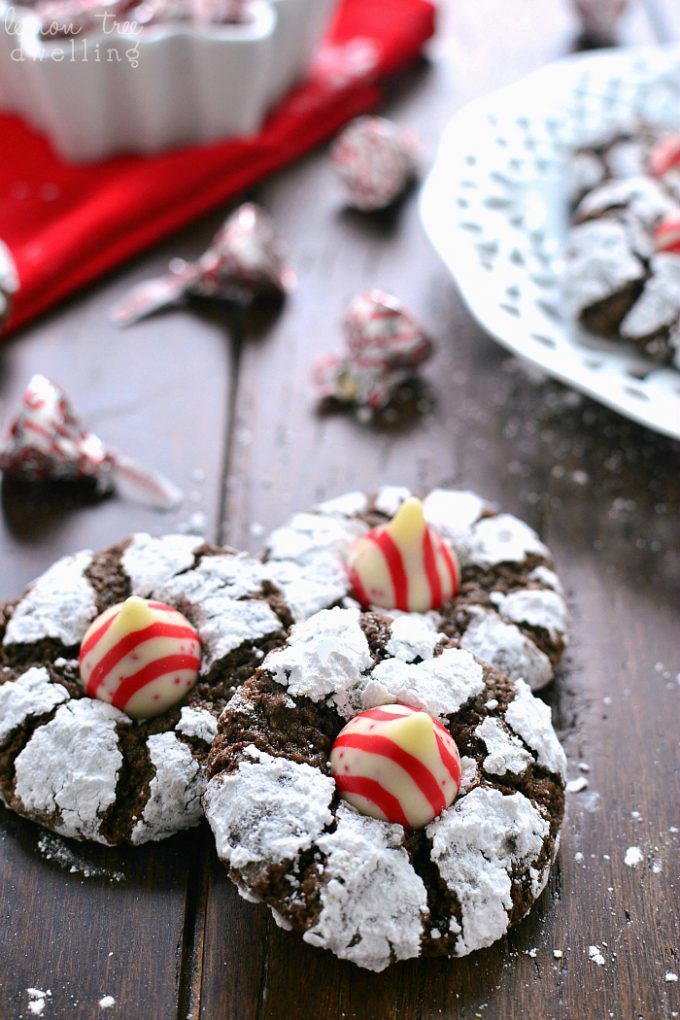 Chocolate Peppermint Blossoms from Lemon Tree Dwelling