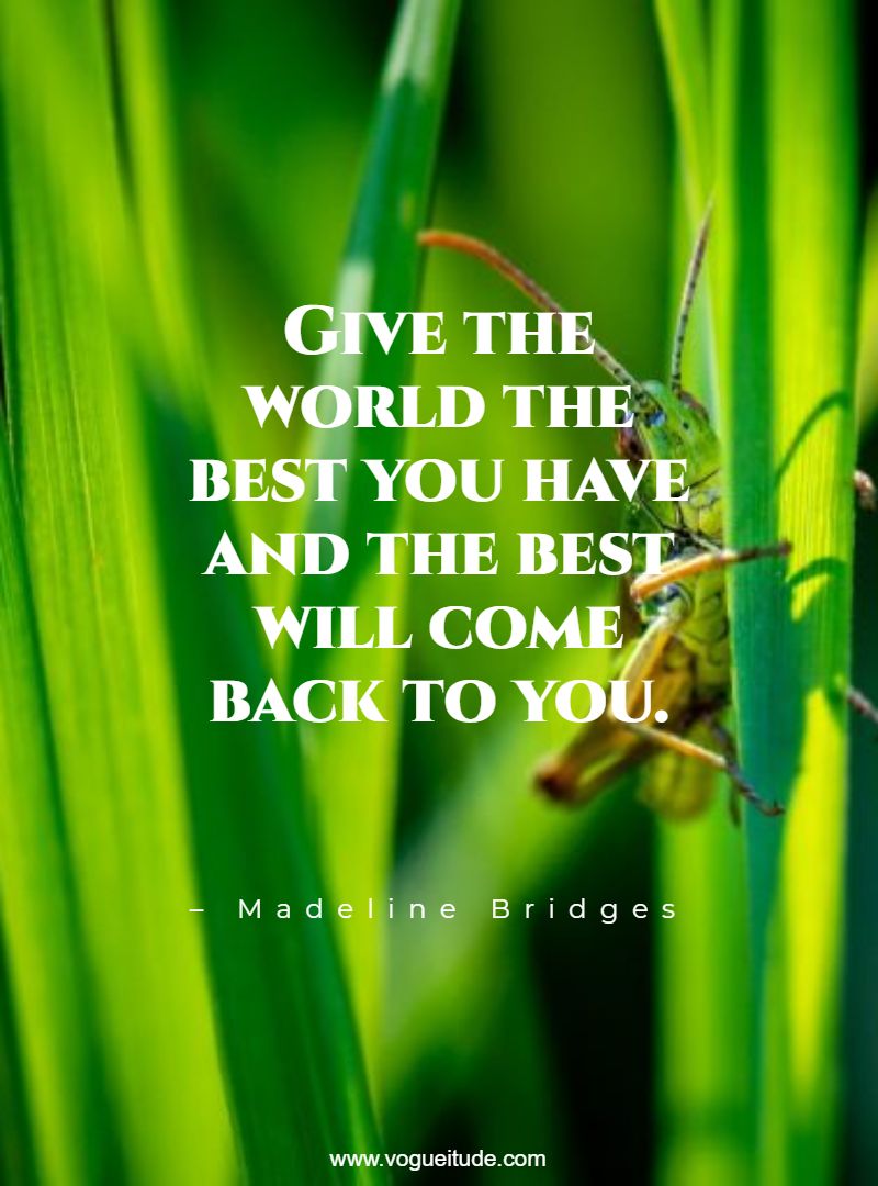 Give the world the best you have and the best will come back to you.