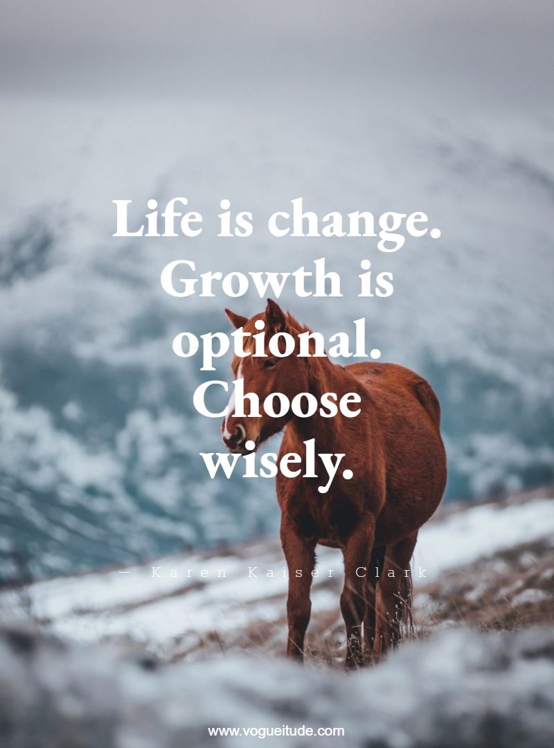 Life is change. Growth is optional. Choose wisely.