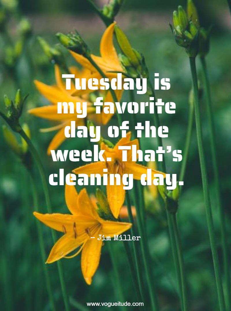 Tuesday is my favorite day of the week. That’s cleaning day.