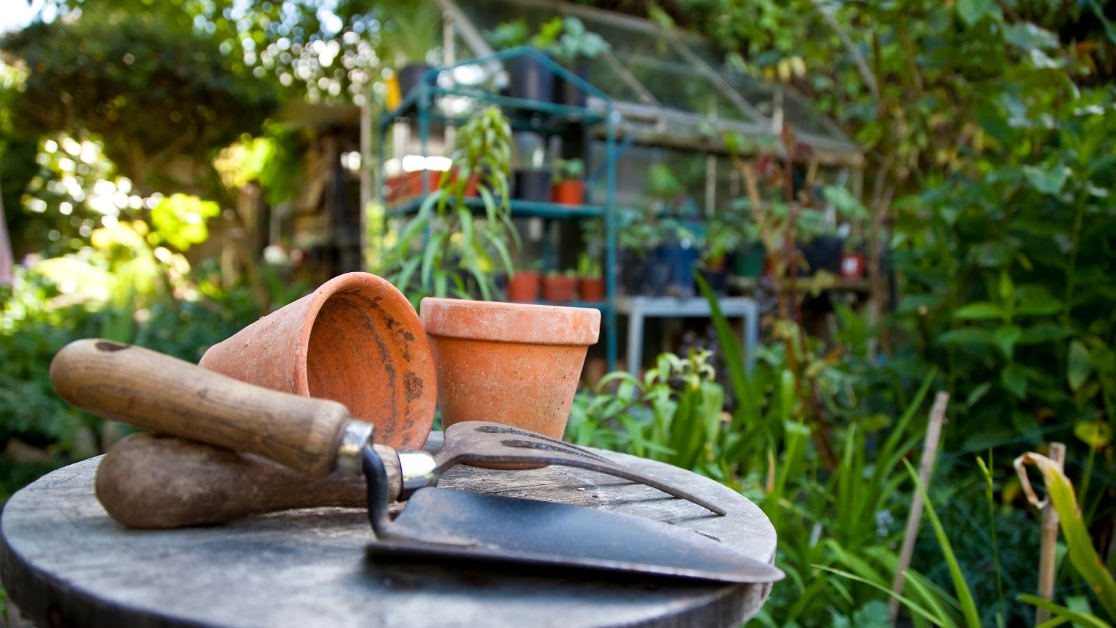 Straightening Up The Gardening