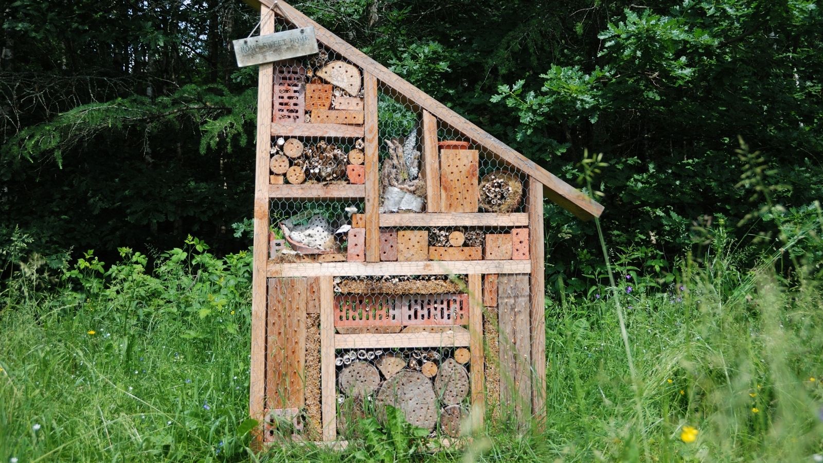 Attract Birds And Pollinators To Your Garden