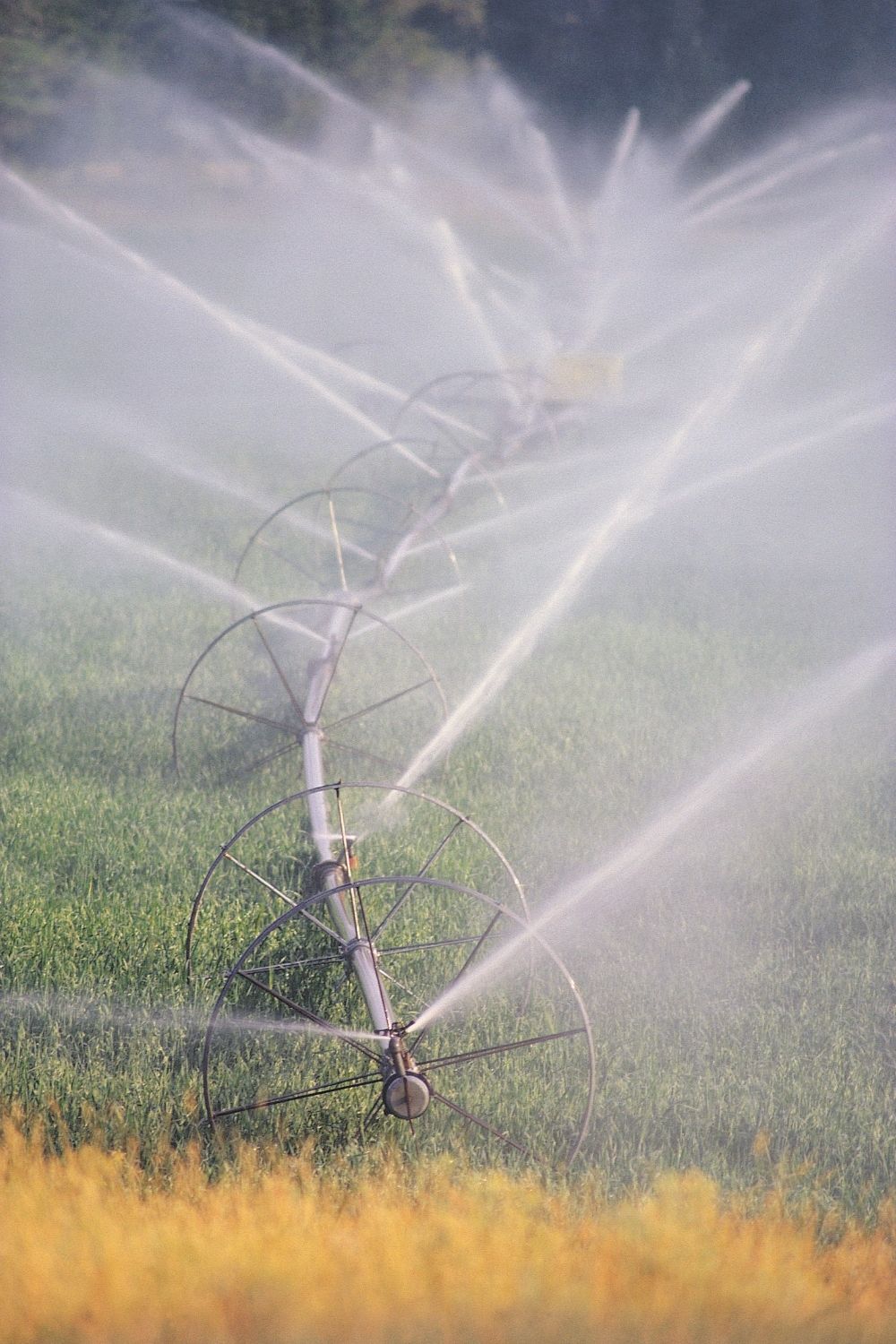 Bucket irrigation system