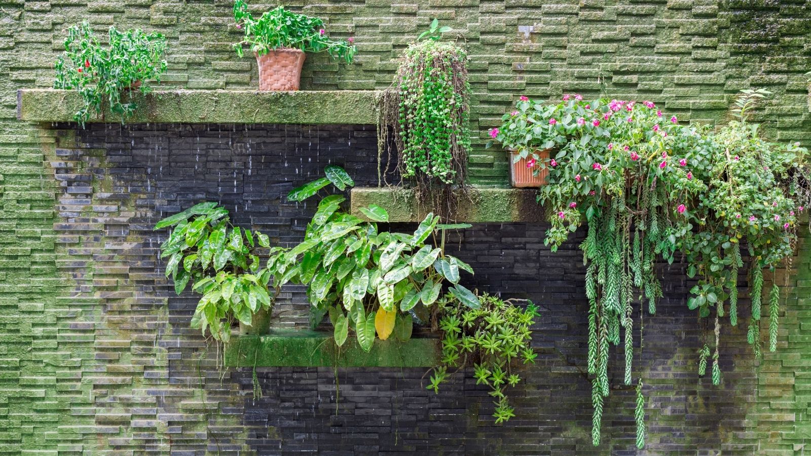 Build Vertical Garden In Small Space