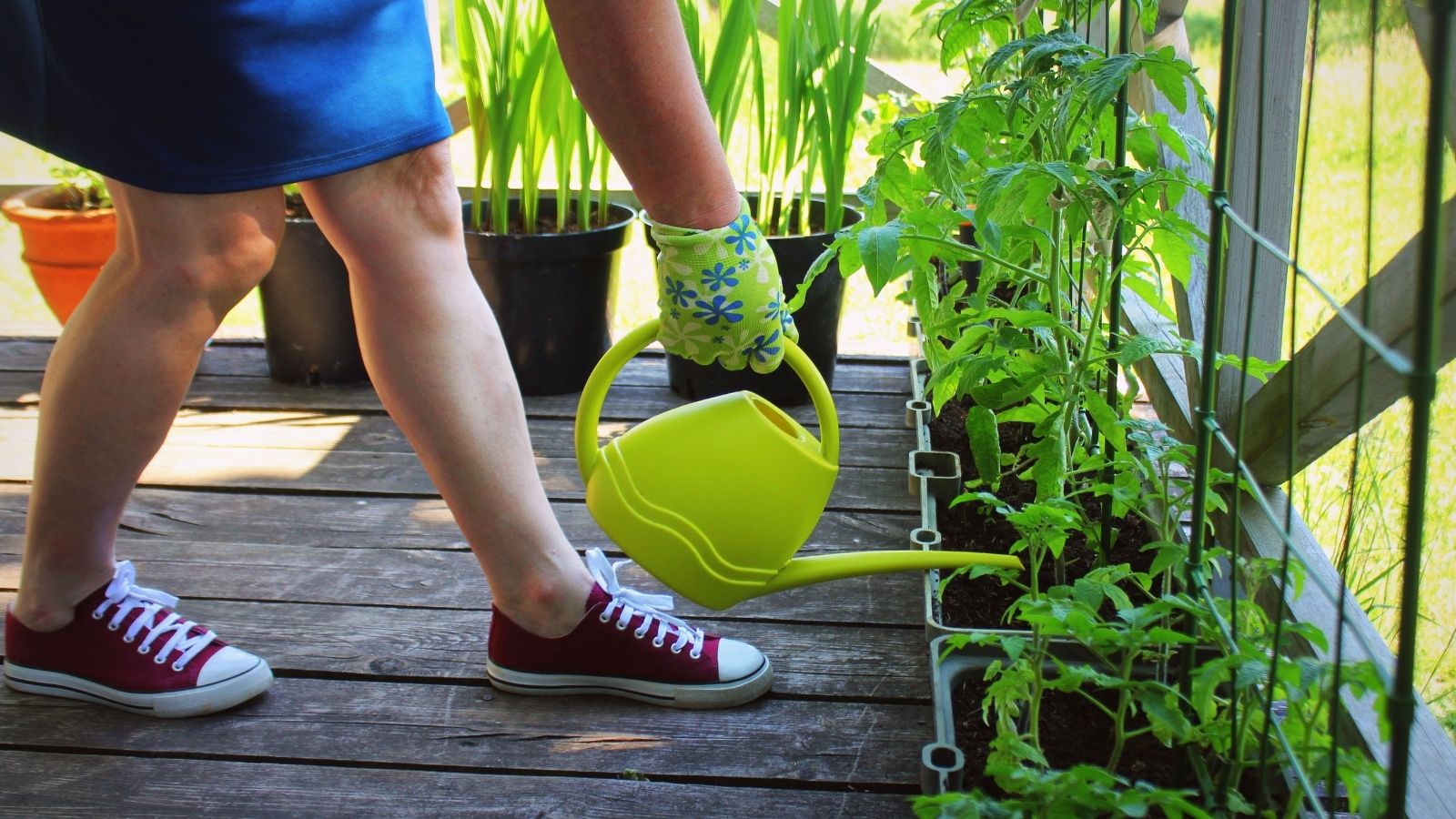 Container Gardening At The Terrace