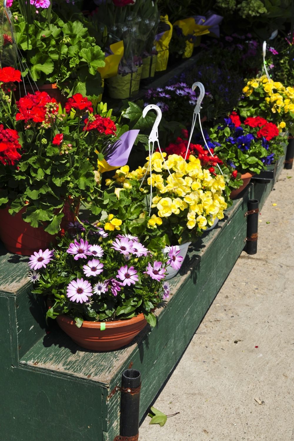 Decide where to place the hanging planter