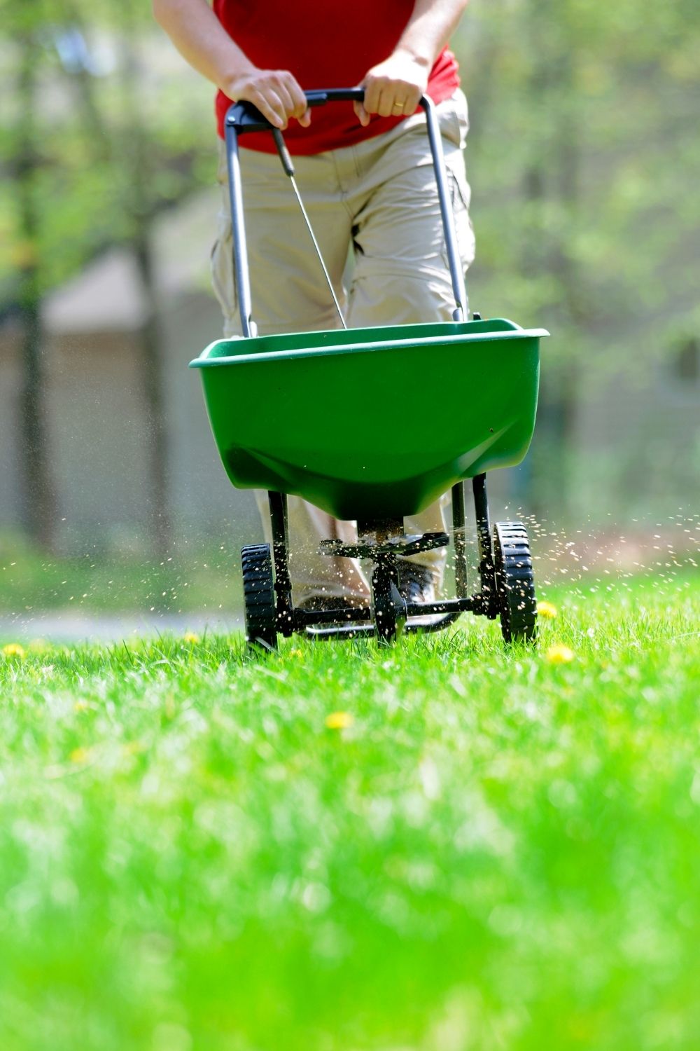 Do not burden the lawn with sacks of fertilizers