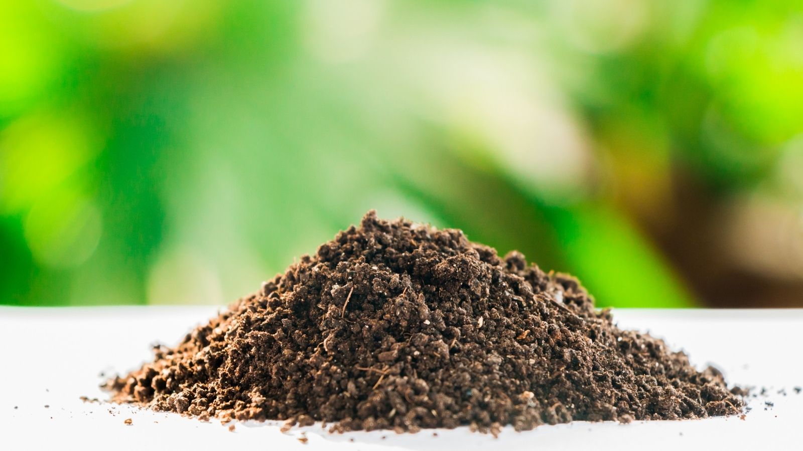 5 Easy Tricks To Build Healthy Fertile Soil