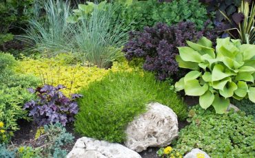 Easy ways to make a better lawn