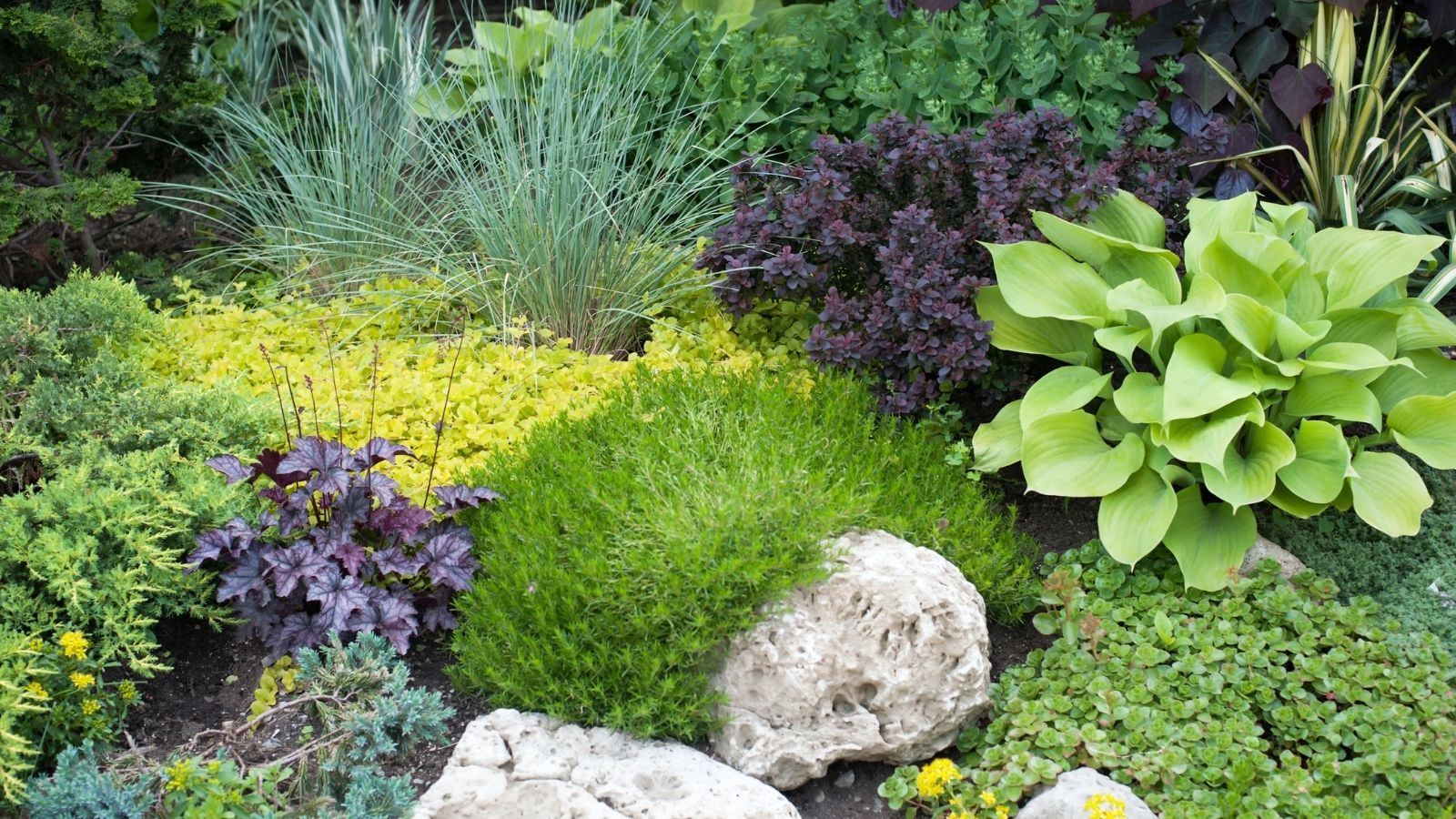 Easy ways to make a better lawn