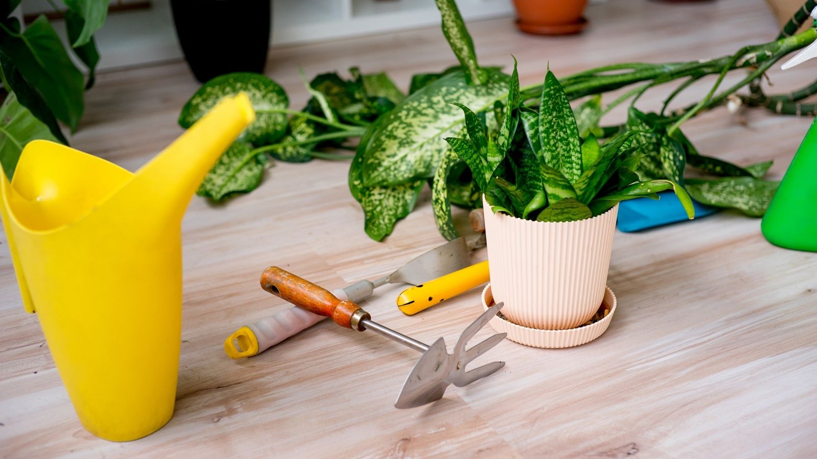 Essential Tools For First Time Gardeners