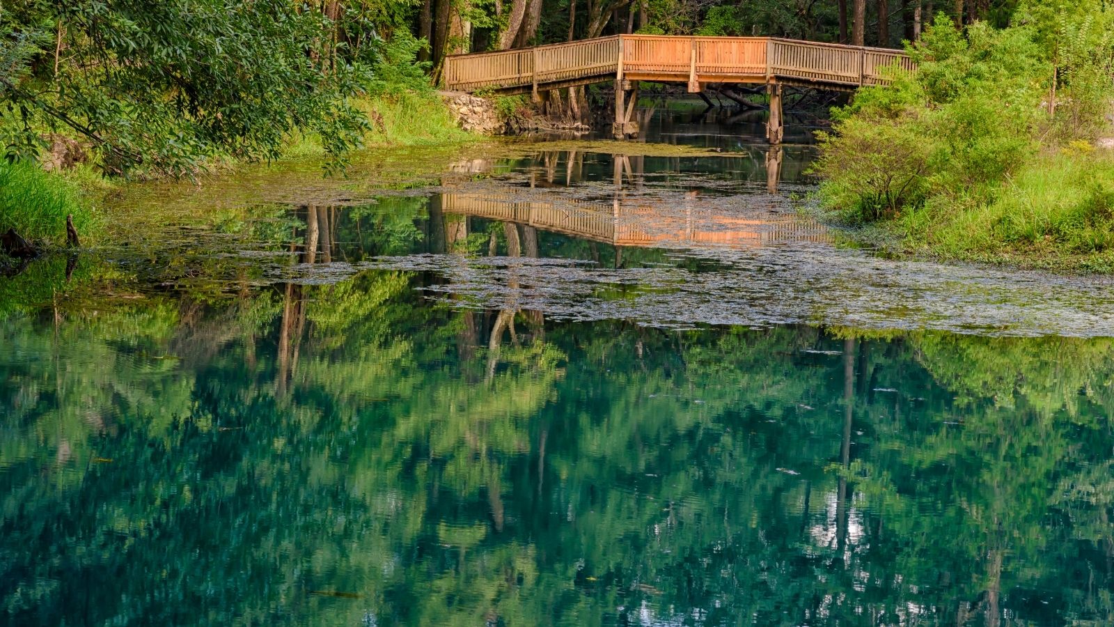 Final touches to your bridge