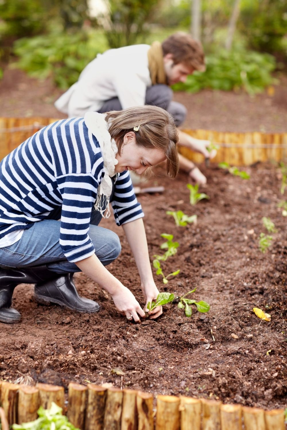 Find the perfect location to lay the garden