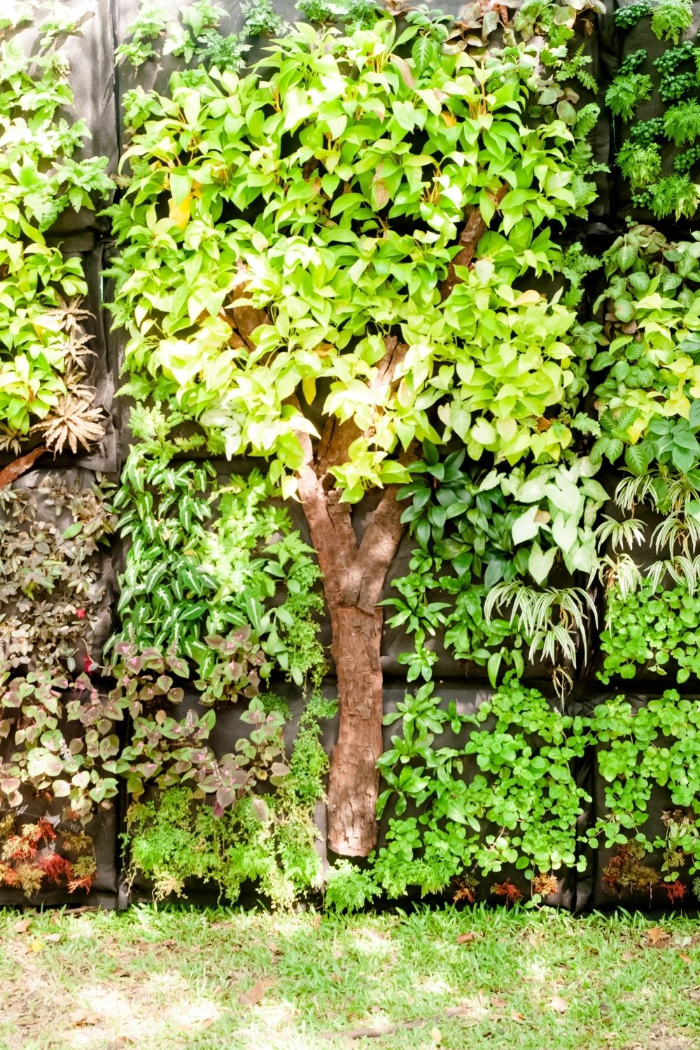 Garden in your old wooden Pallet