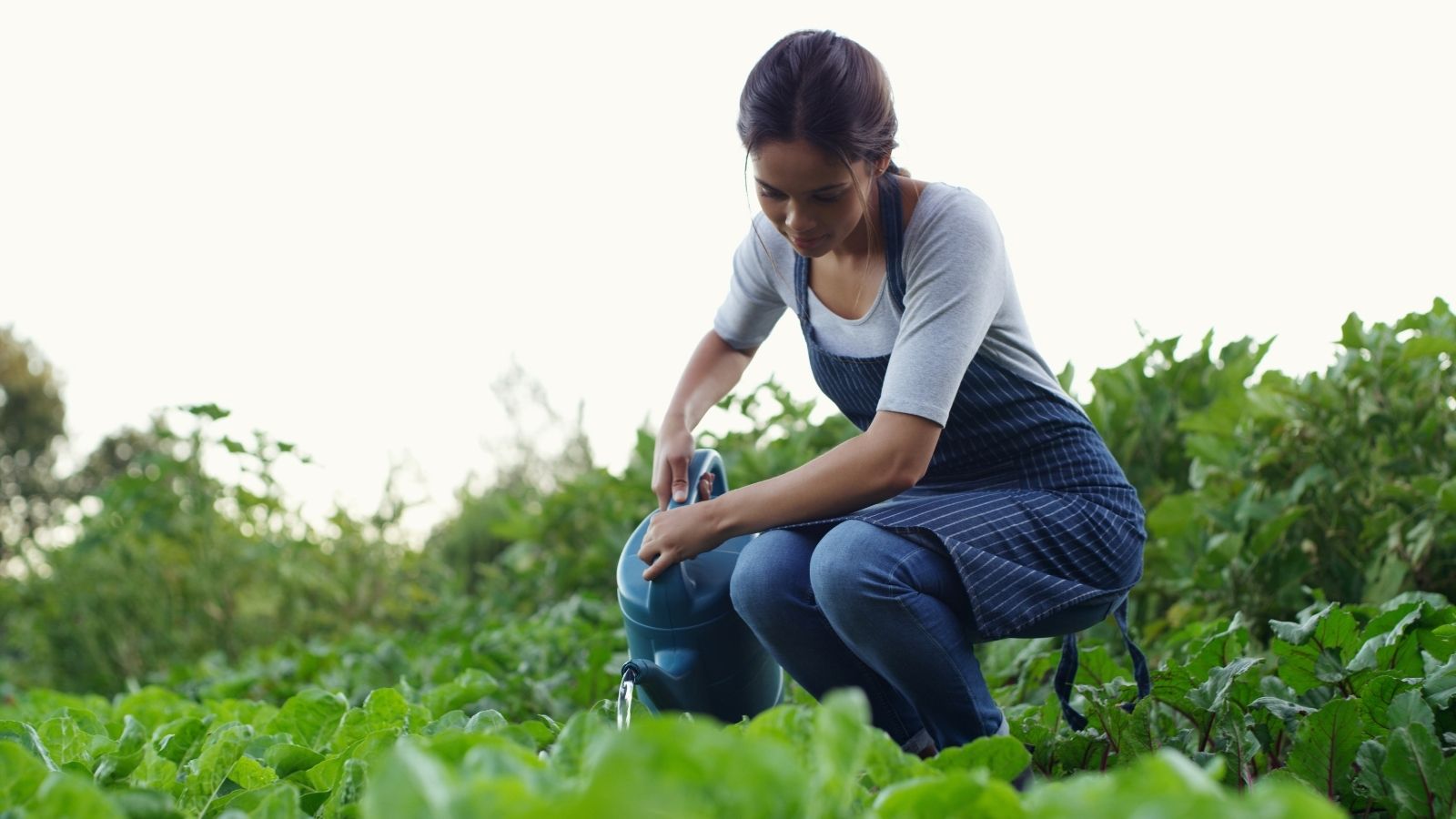 Give them their personal garden