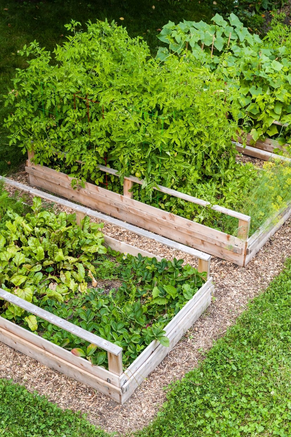 Ground work before you build your raised garden bed