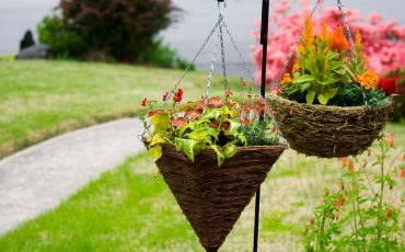 Hanging Planter