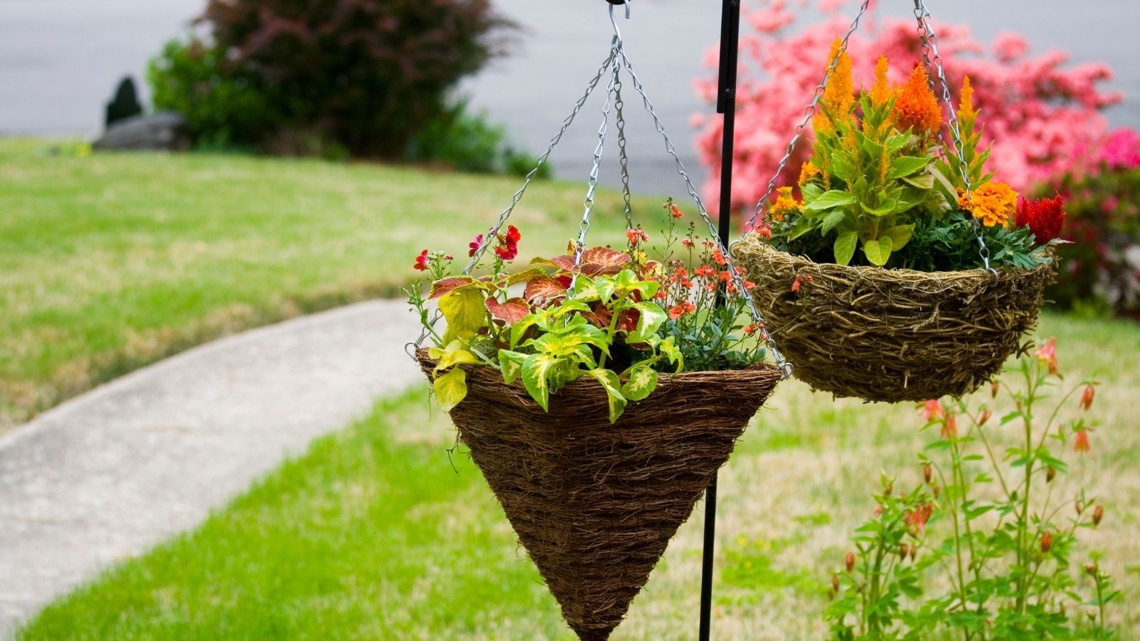 Hanging Planter