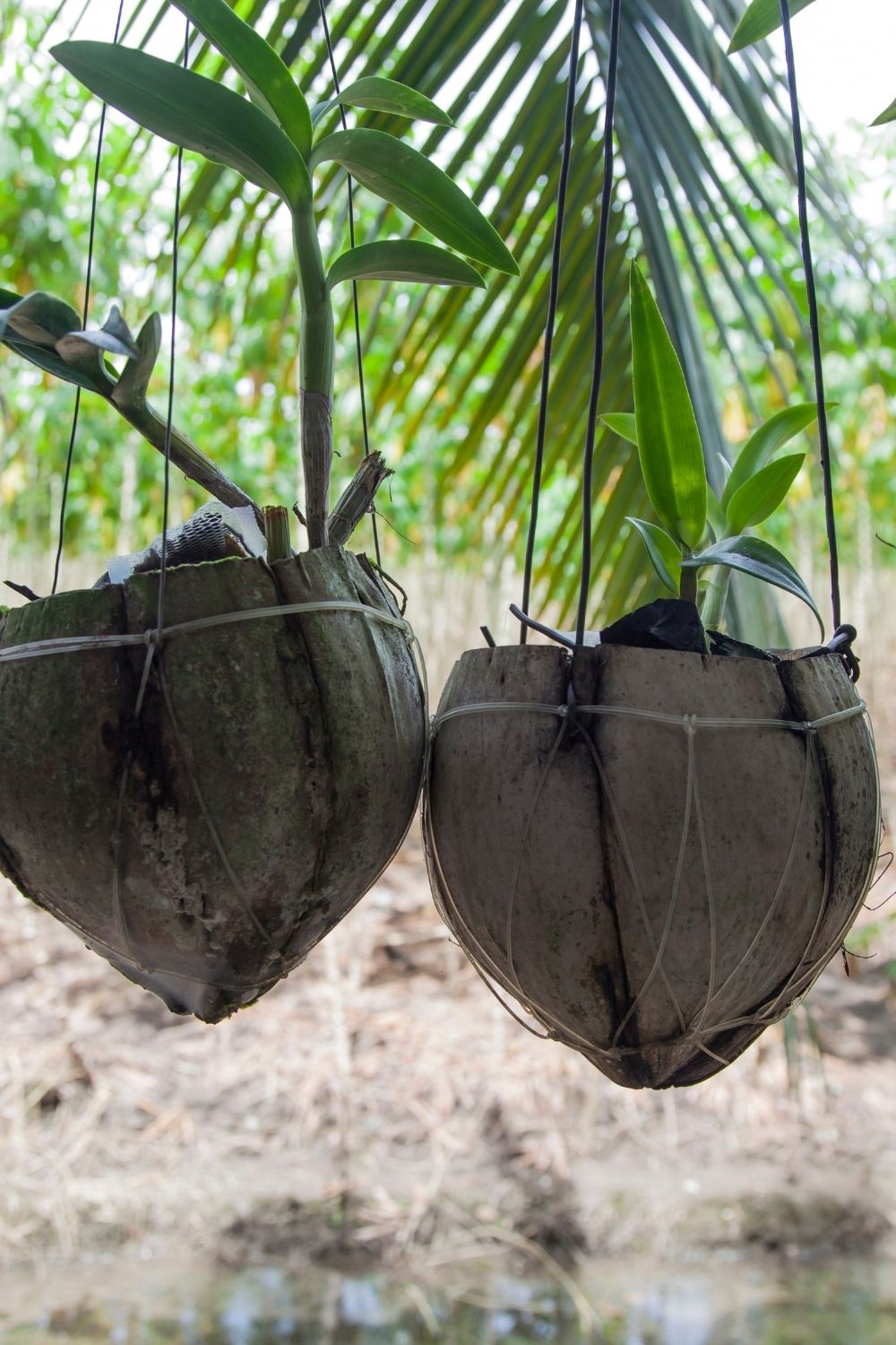 Important base material to make hanging planters