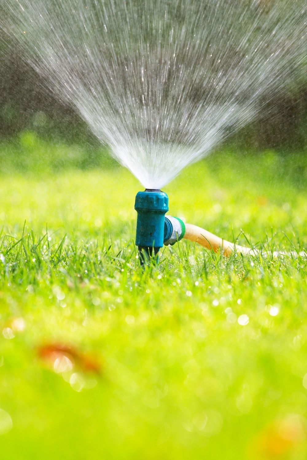 Never over-water your lawn