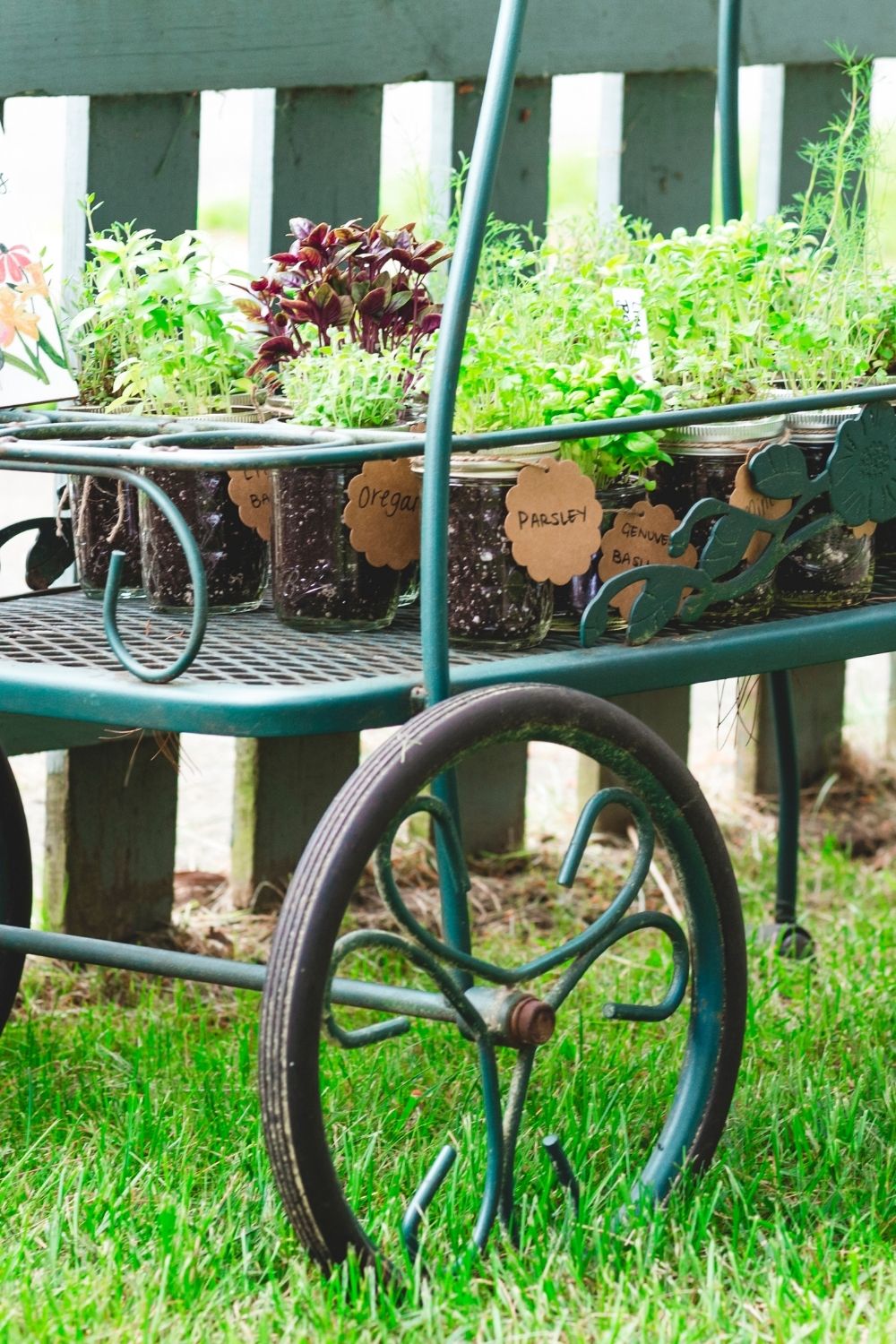 Old Mason Jar garden