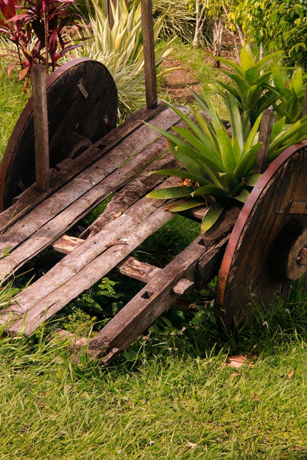 Old vintage wagons