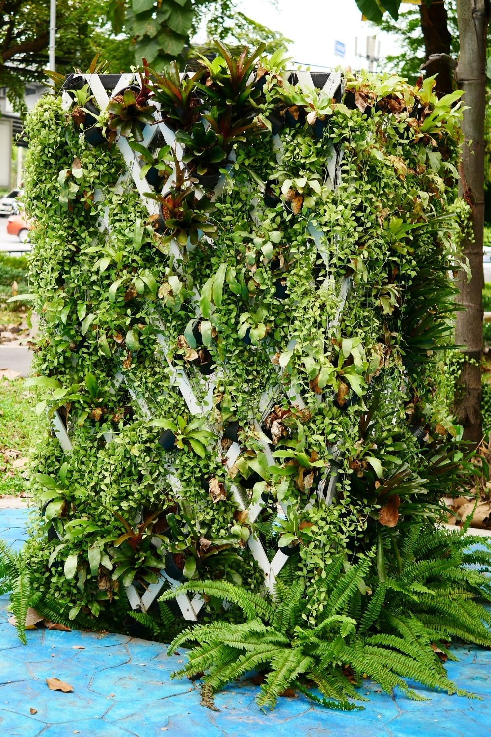 Photogenic garden in a photo frame