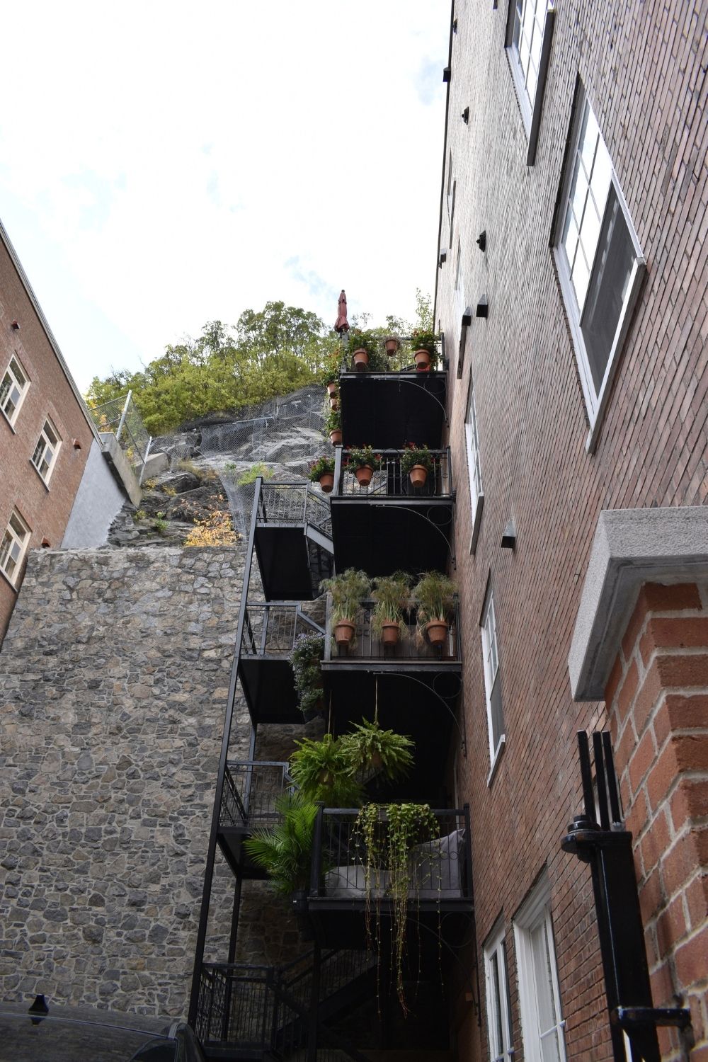 Plants to grow in the apartment’s balcony