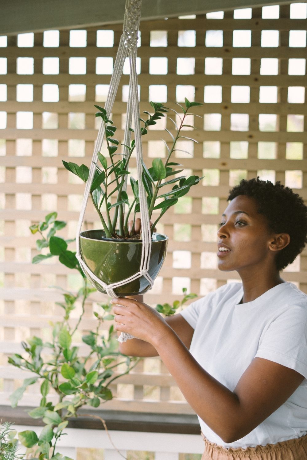 Pot Hanger