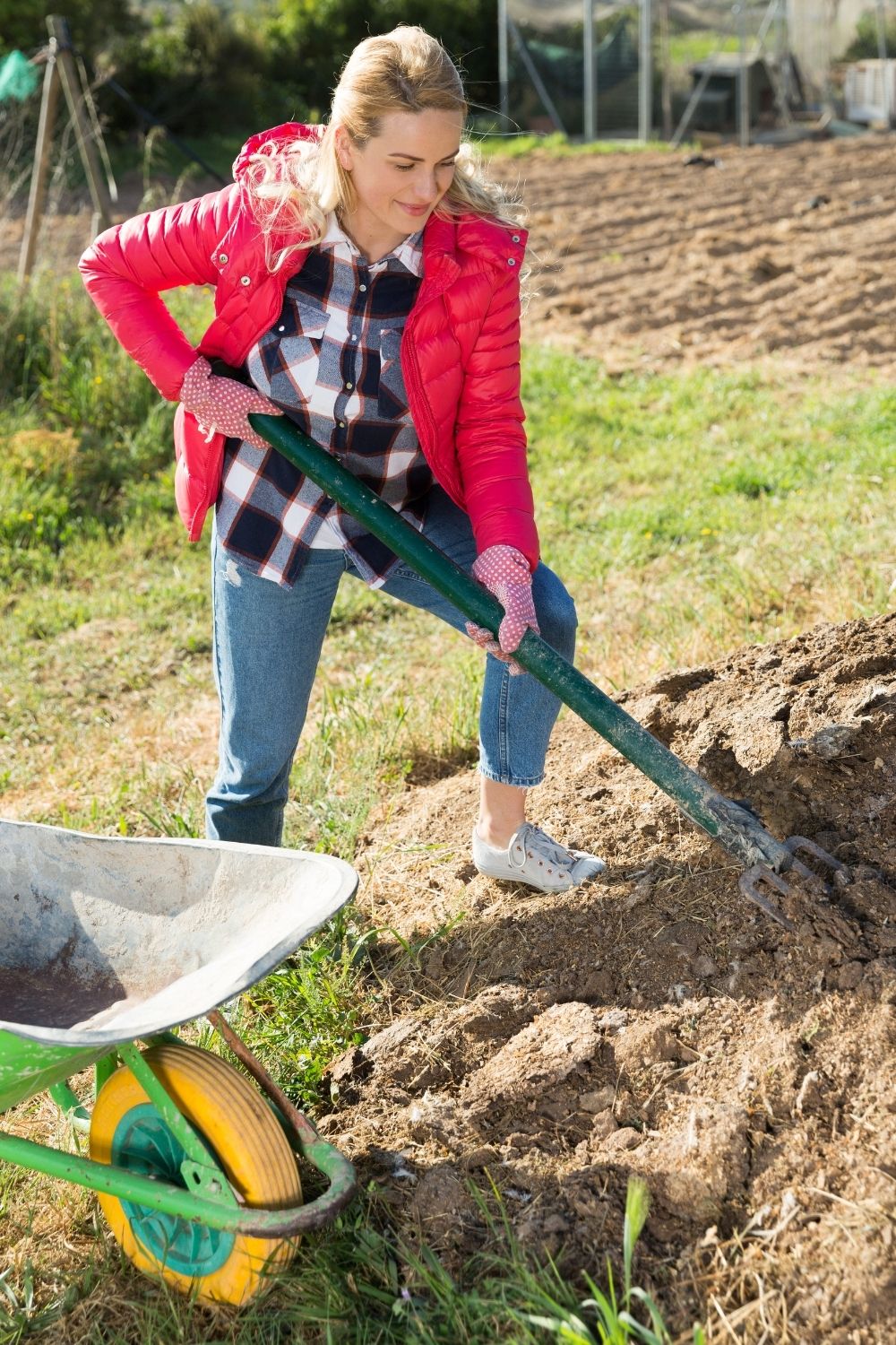 Prepare proper manure