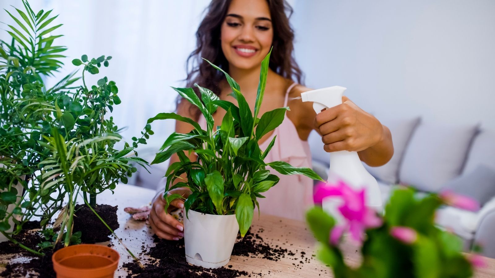 Selecting the correct type of soil for your indoor garden