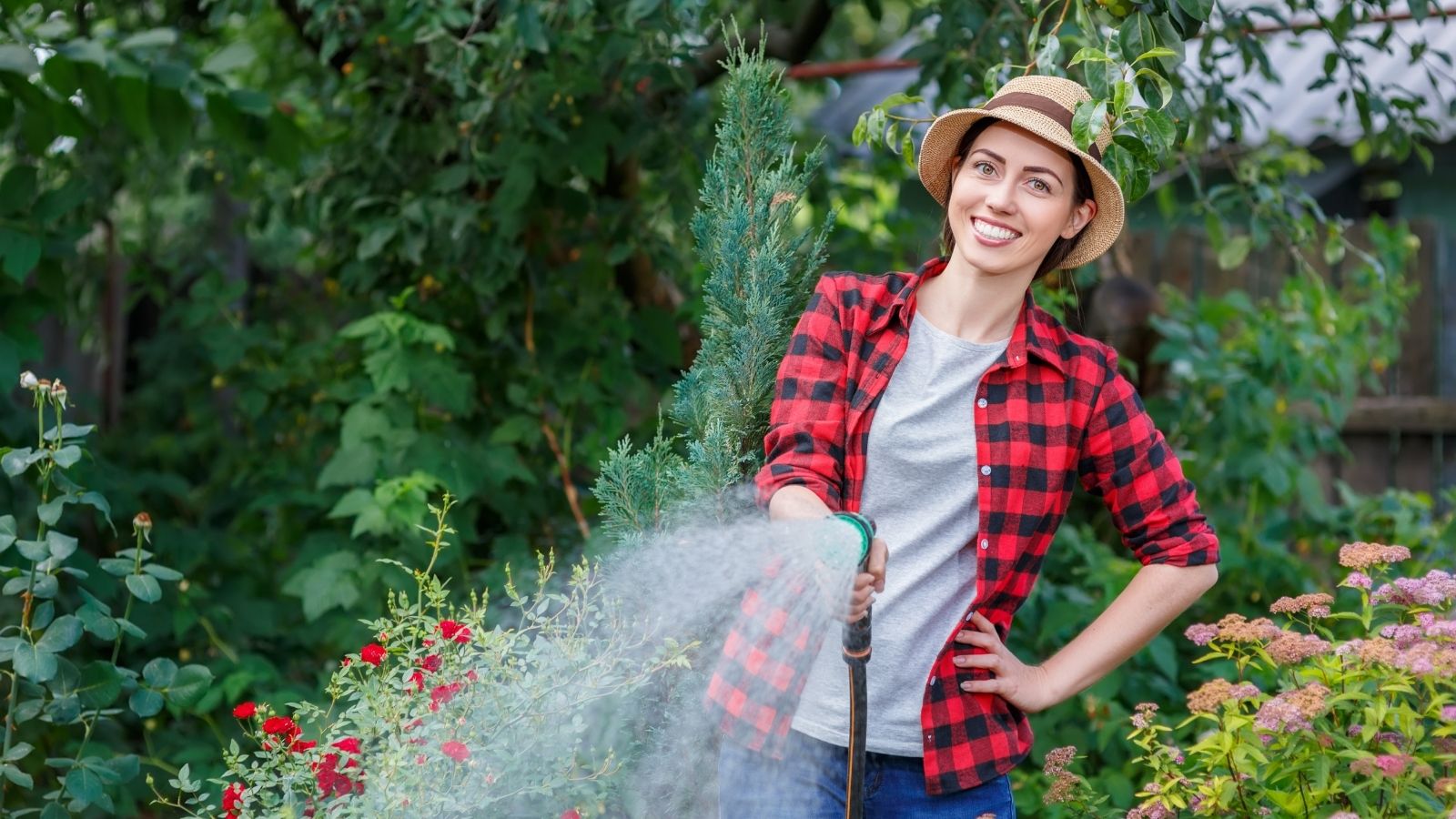 Self-Watering Garden