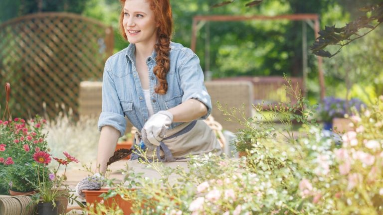 Start Gardening