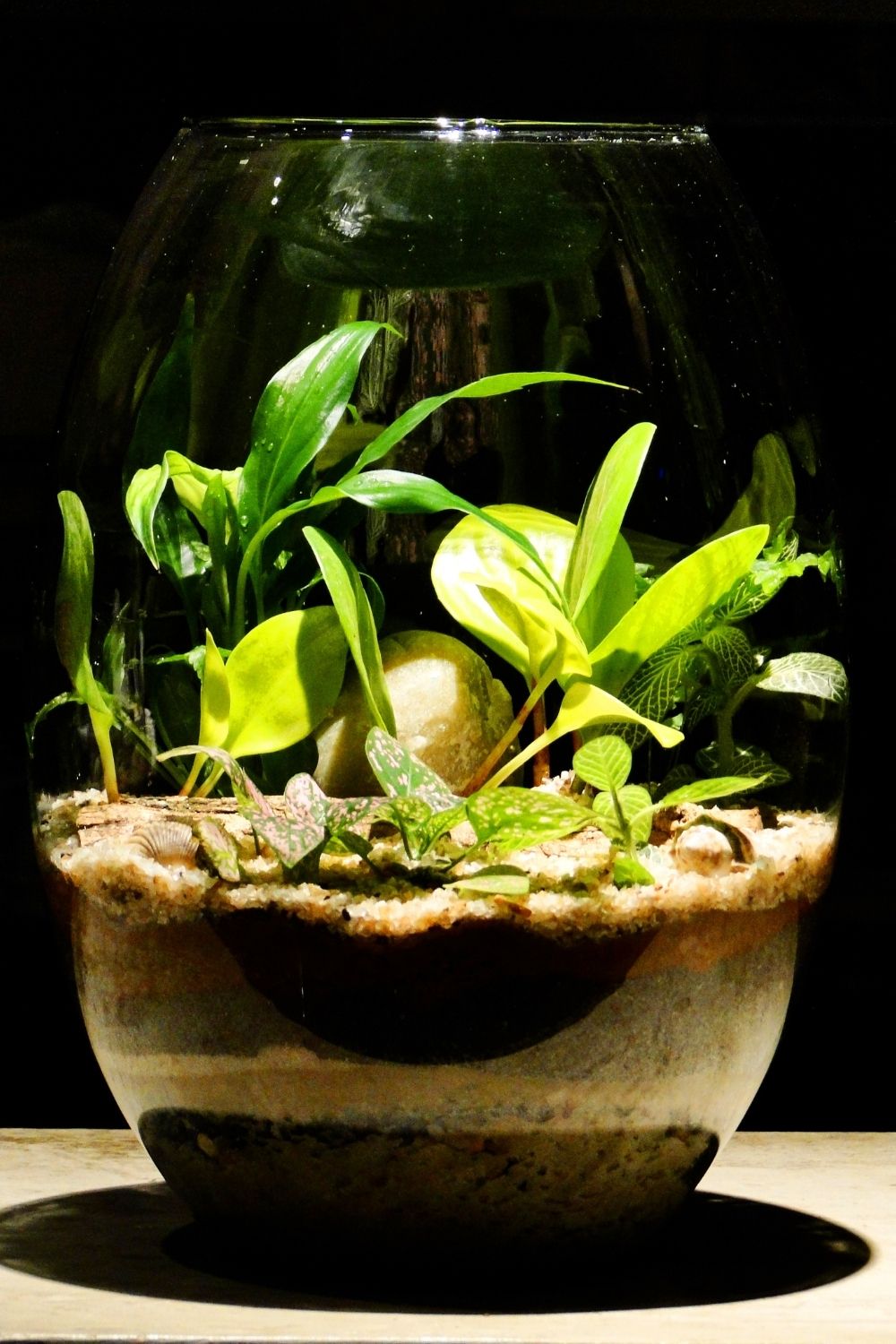 Terrarium tea table