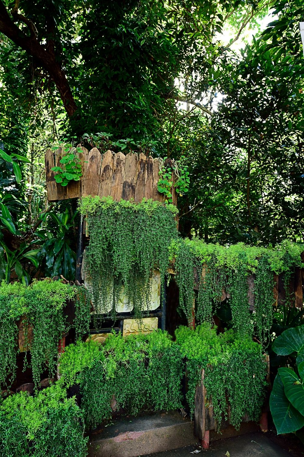 Vertical gardening