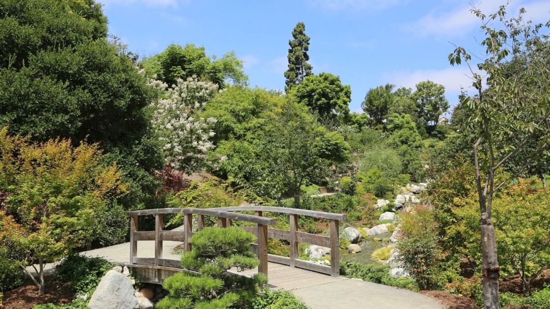 Wooden Bridge On Your Landscape