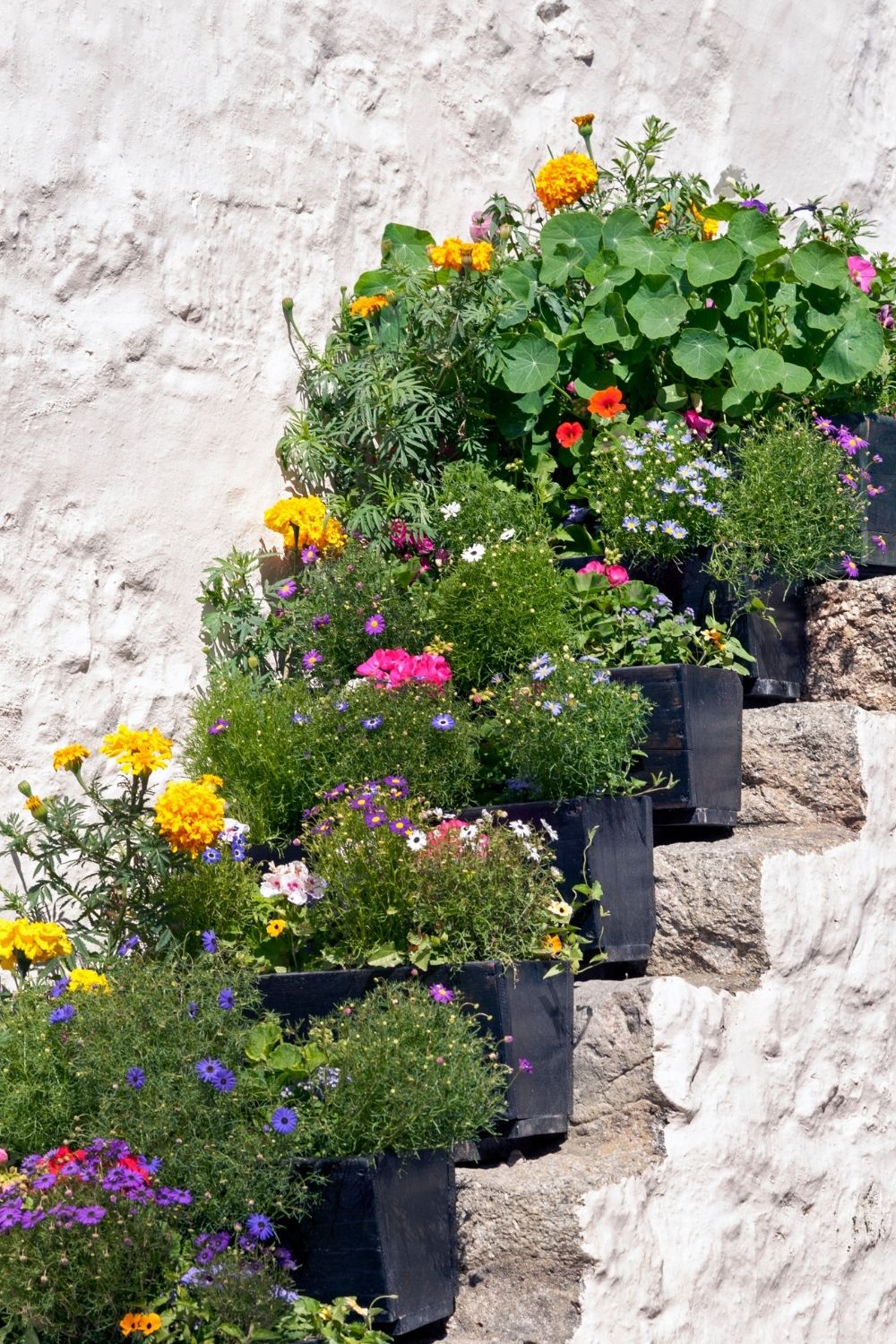 Wrap plastics over the flower pots