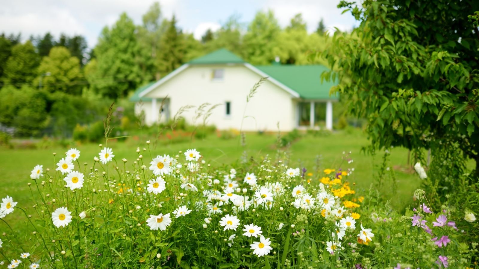 Build An Intensive Garden Bed