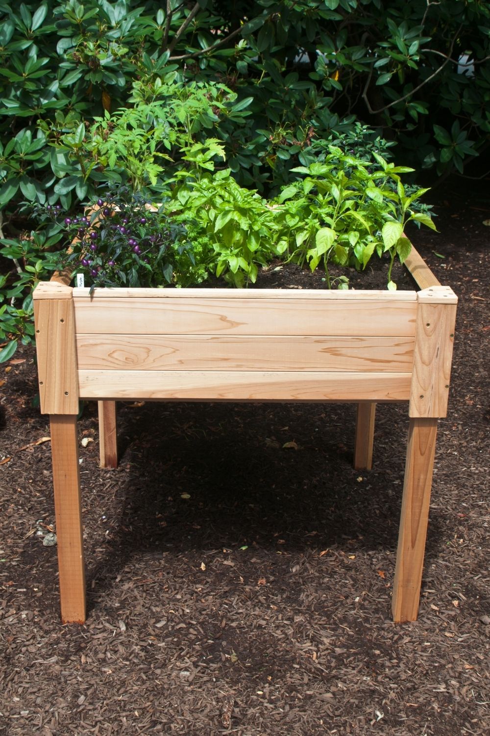 Build a chess board like garden bed