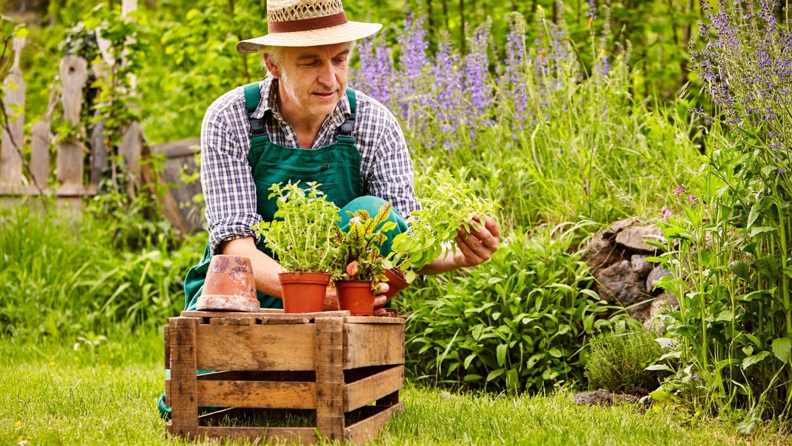 Implement the reuse of the old milk crate raised garden