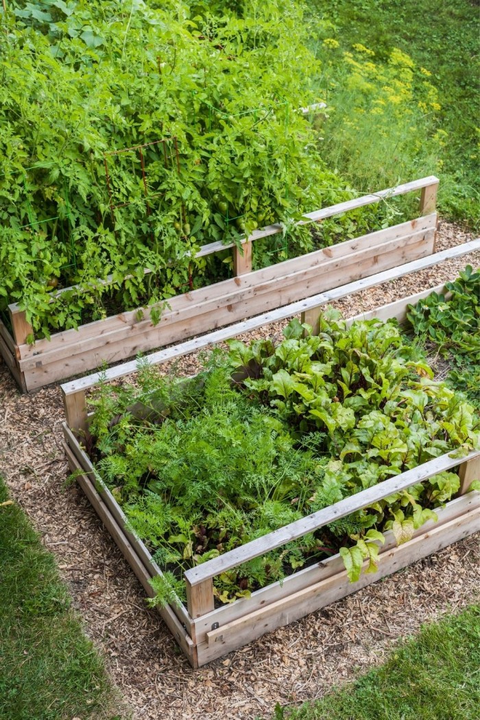 Make wooden box raised garden