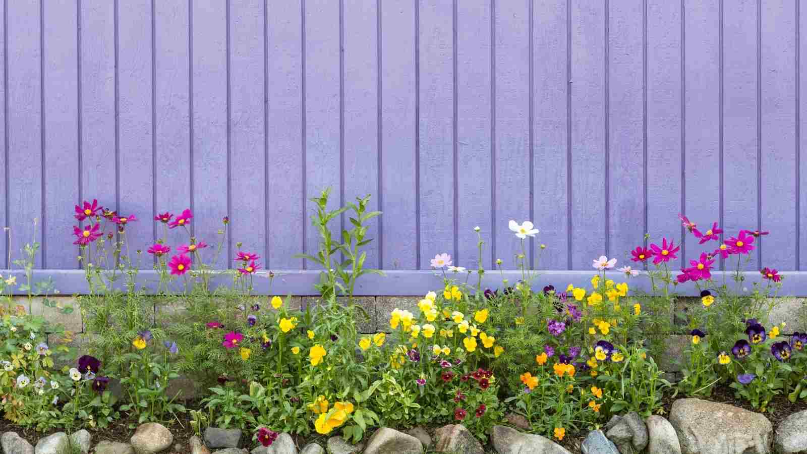 Pink Perennials For The Garden