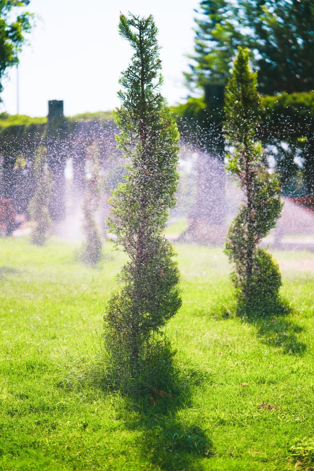 Poor watering techniques is a common gardening mistakes