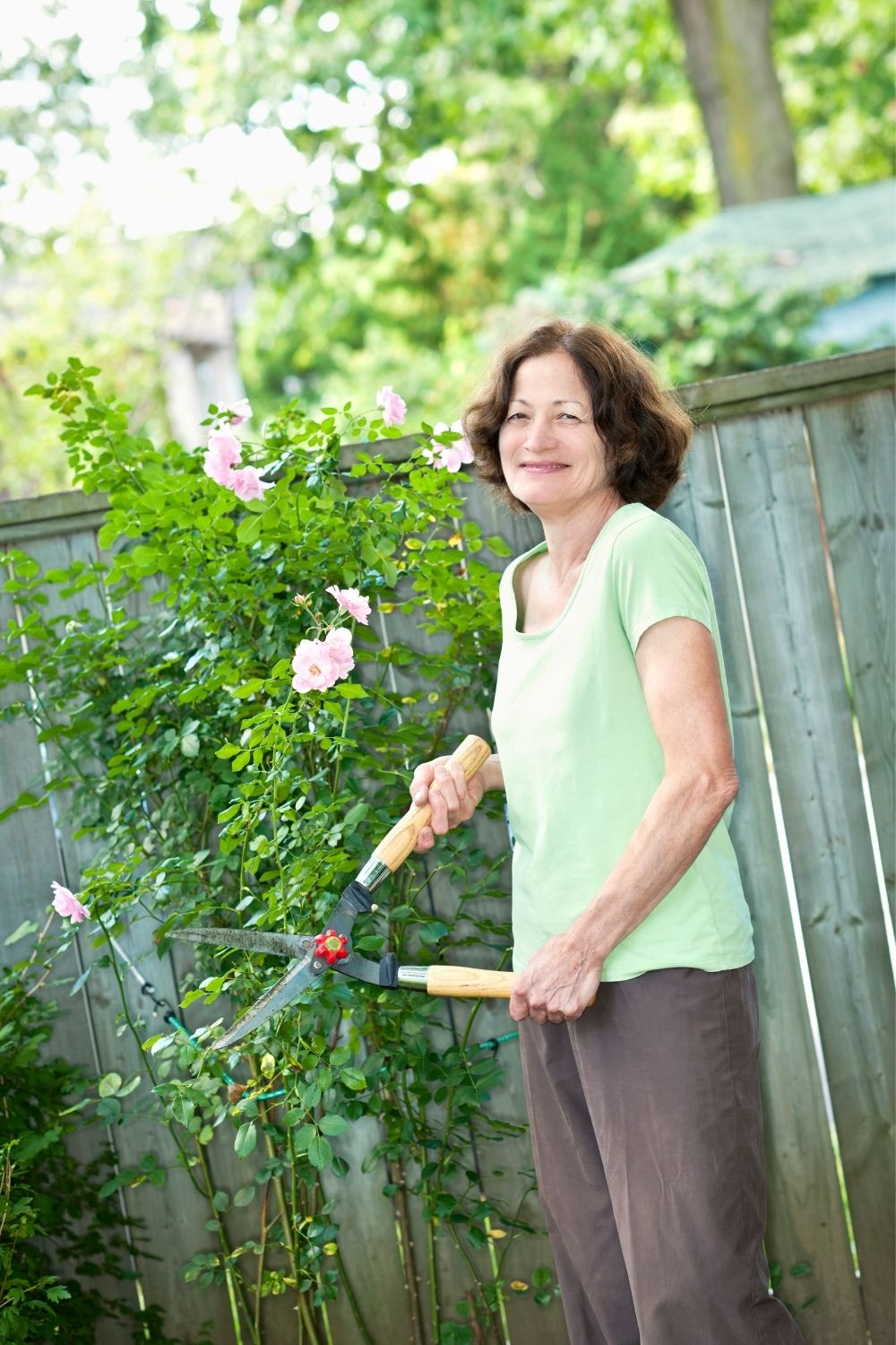 Regular pruning and trimming