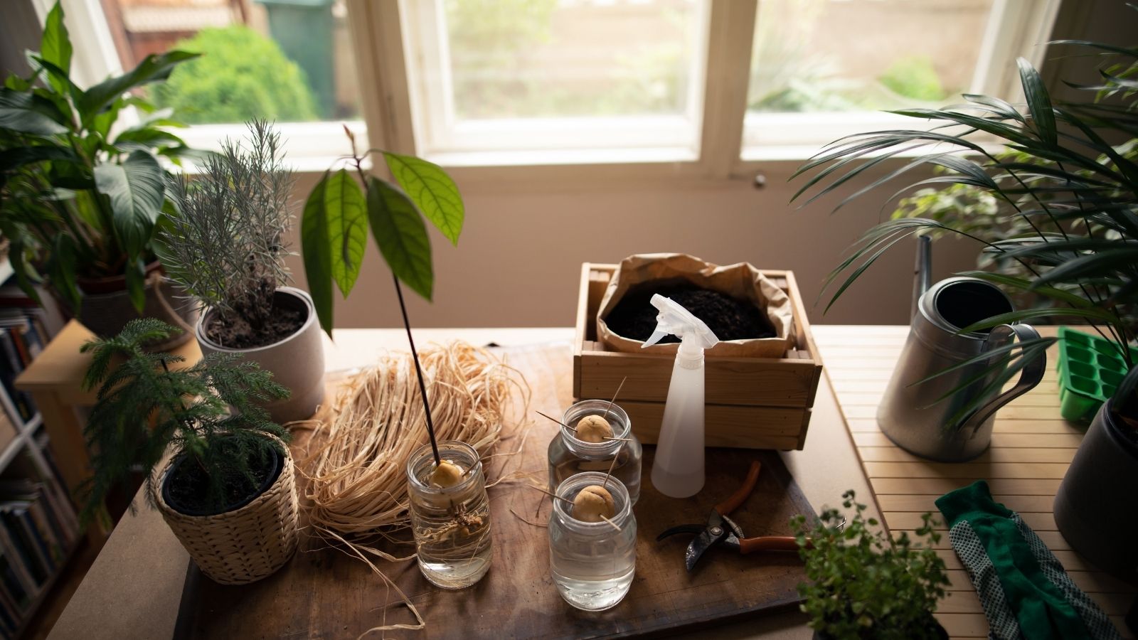 Spring Garden Indoors