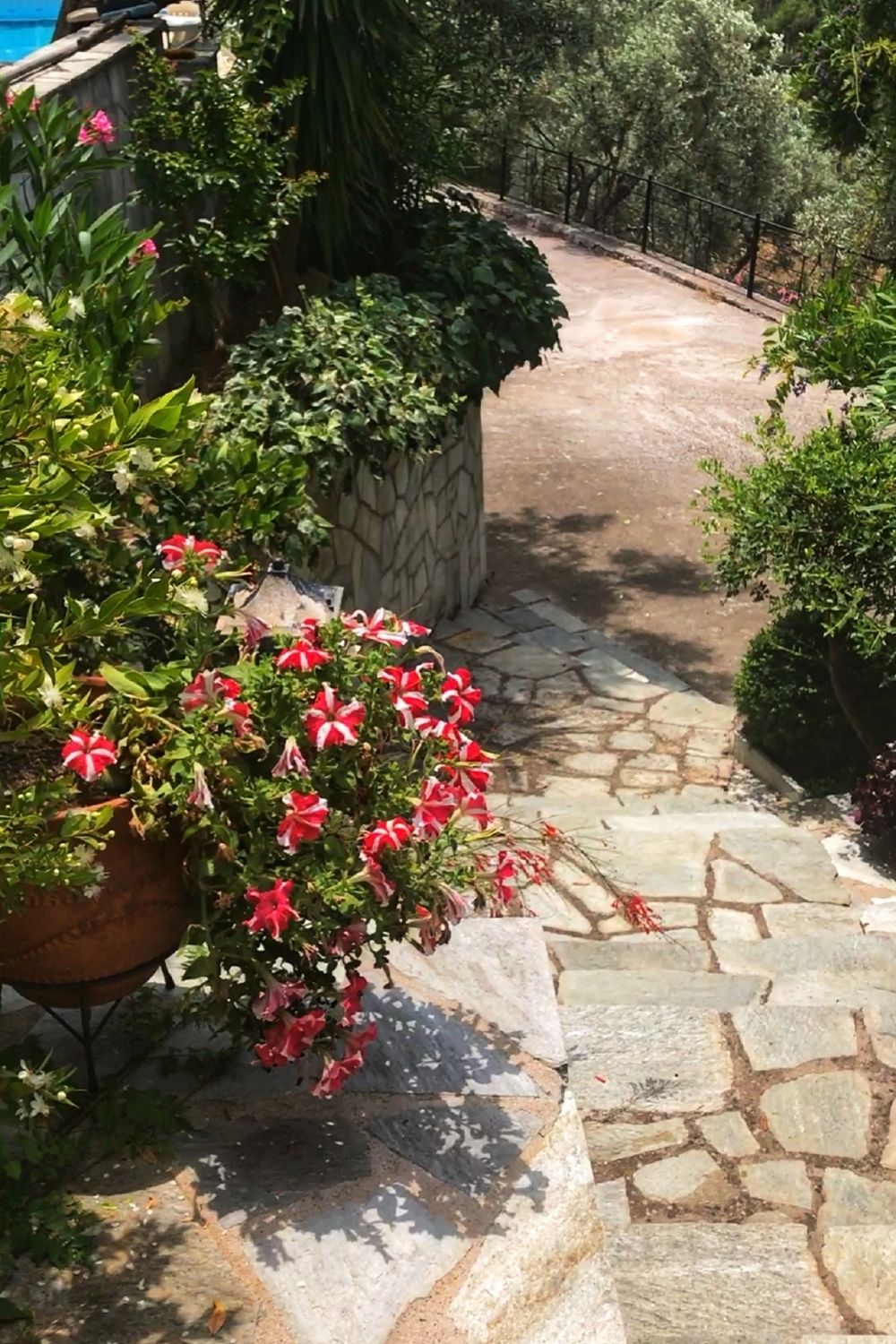 Staircase styled raised bed design