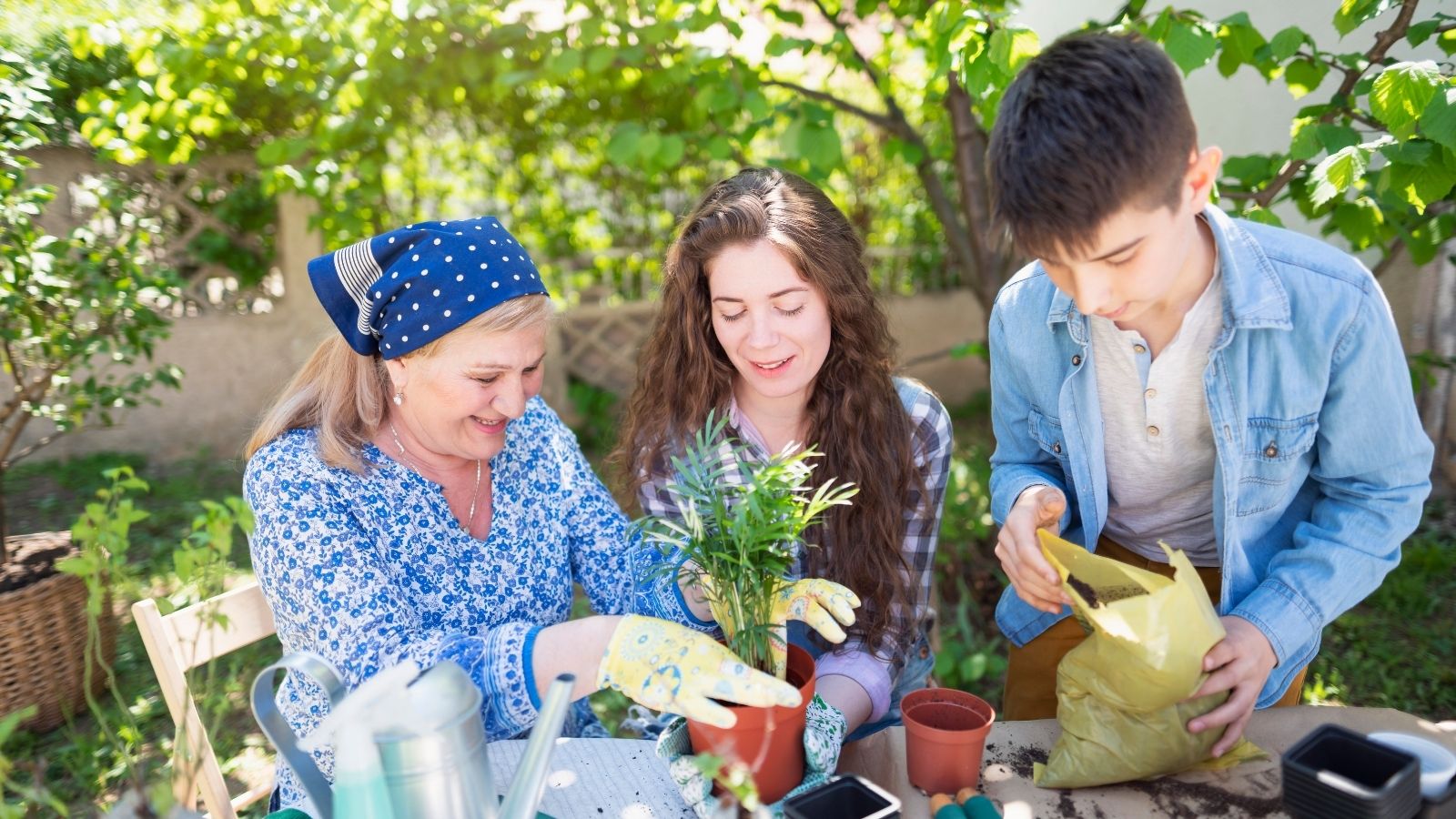 To Increase The Nourishment Of The Plants