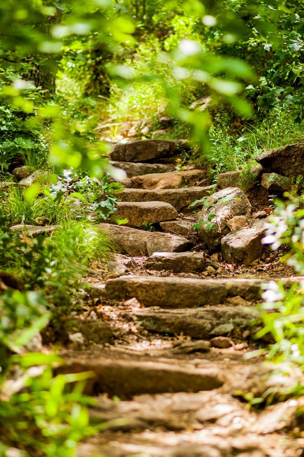 A stony path