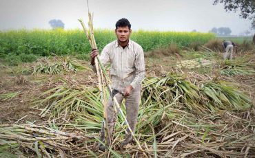 Best Sugarcane Harvester In India